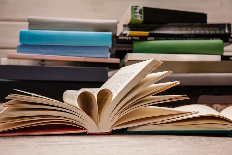 Understanding Economic Cycles Through Literature